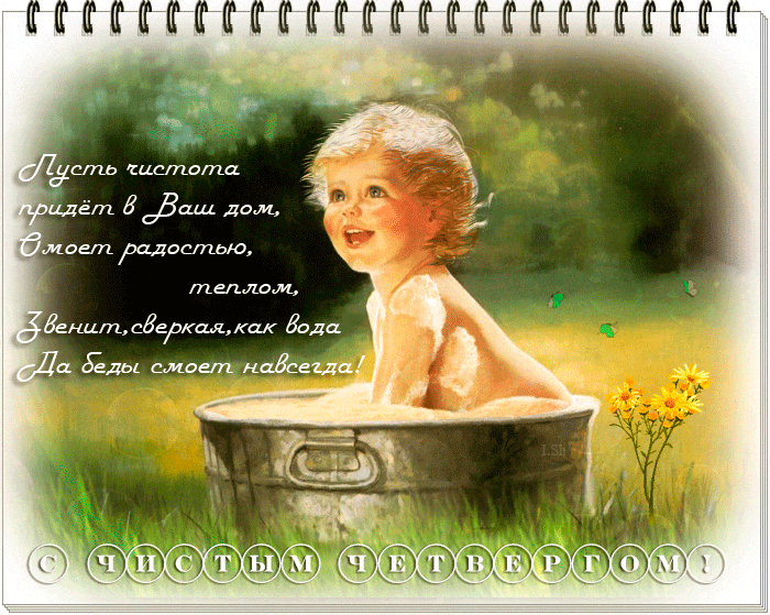 Пусть чистота придет в ваш дом