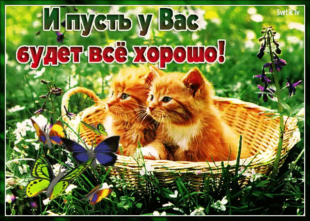 И пусть у вас все будет хорошо открытка