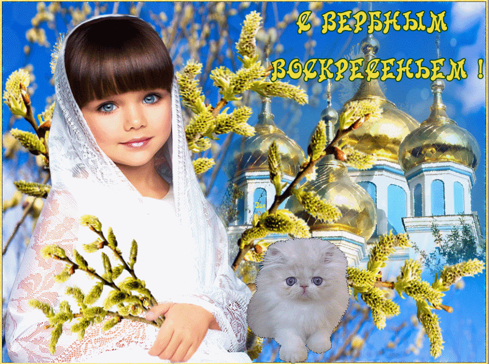 С Вербным Воскресеньем - Мира тебе желаю