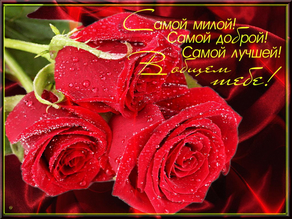 Розы открытка самой дорогой