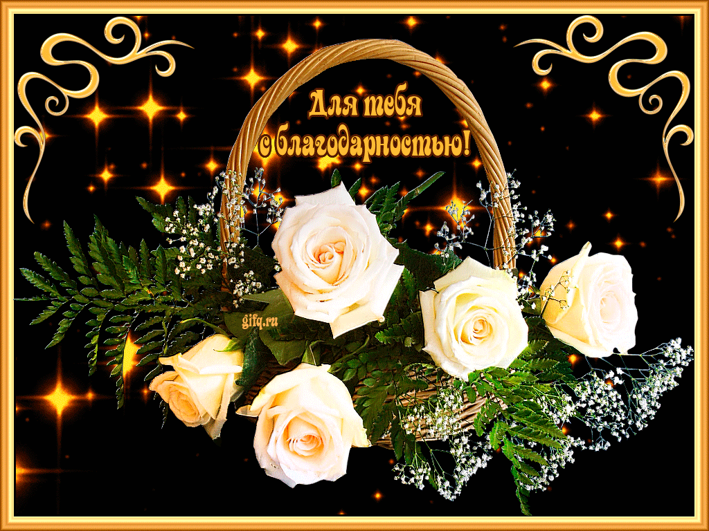 Для тебя с благодарностью корзина белых роз