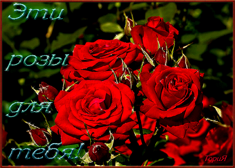 Эти розы для тебя