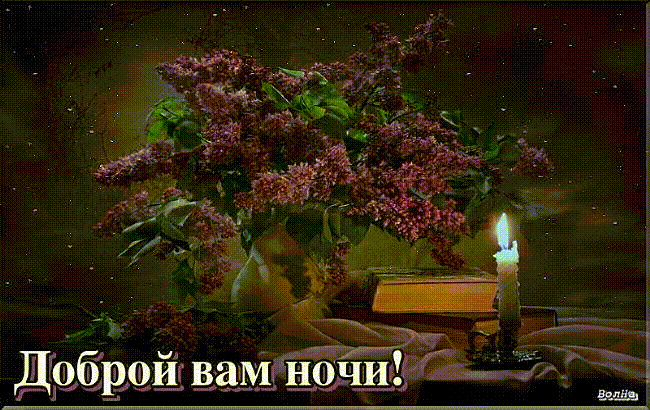 Доброй вам ночи!