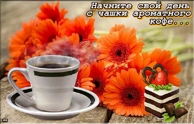 Начните свой день с чашки ароматного кофе.