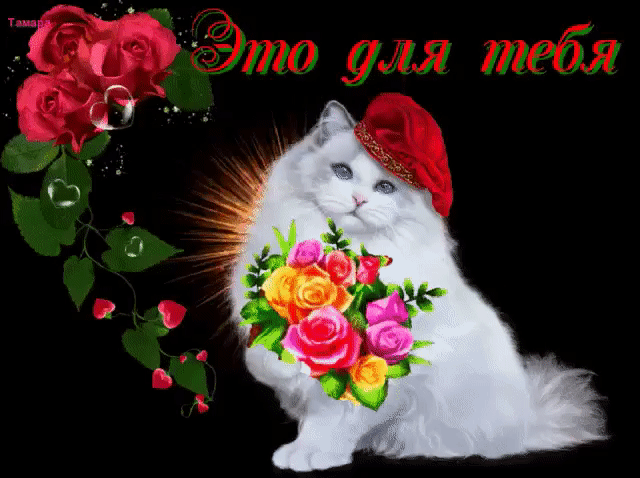 Эти розы для тебя дорогая