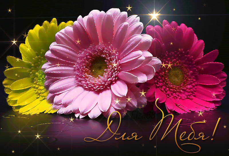 Для тебя красивые цветы