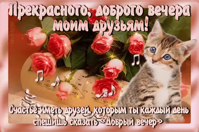 Прекрасного доброго вечера моим друзьям
