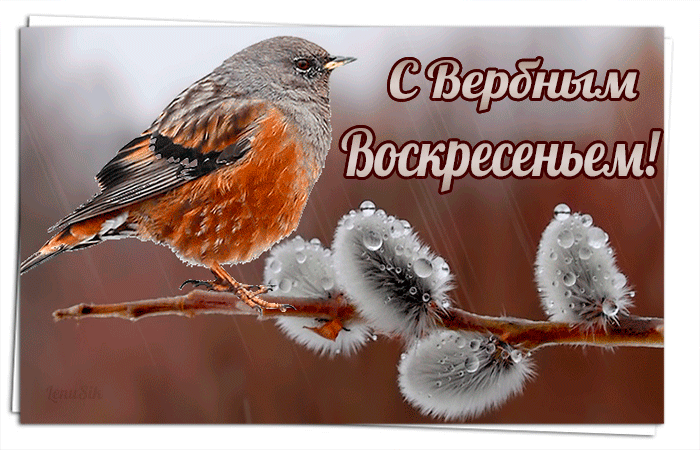 С Вербным Воскресеньем - Мира тебе желаю