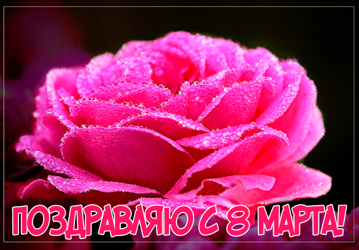 Новая картинка с 8 марта