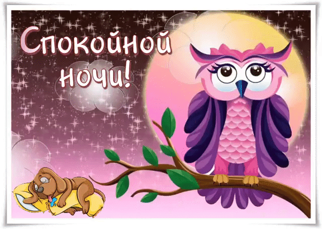 Спокойной ночи открытка с совой