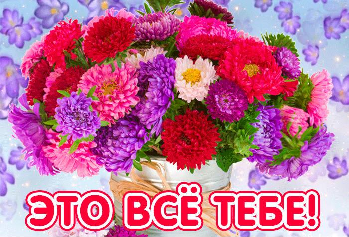 Эти астры для тебя