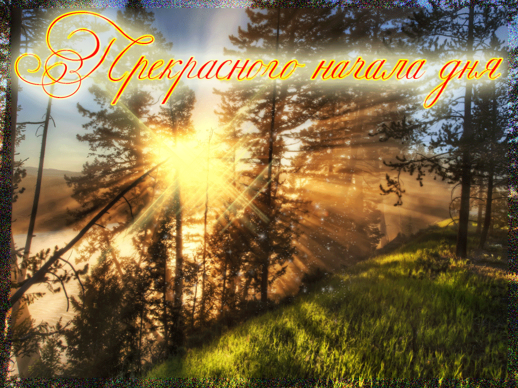 Желаю утра доброго и солнечных лучей