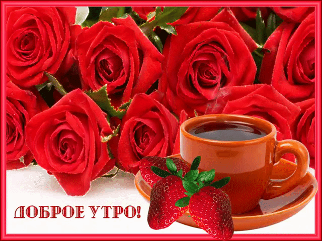 Доброе утро - чашечку чая вам